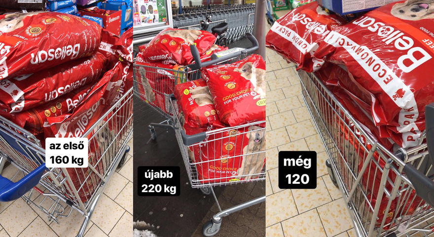 500 Kgs Of Dog Food Successfully Donated From Inktober Drawings