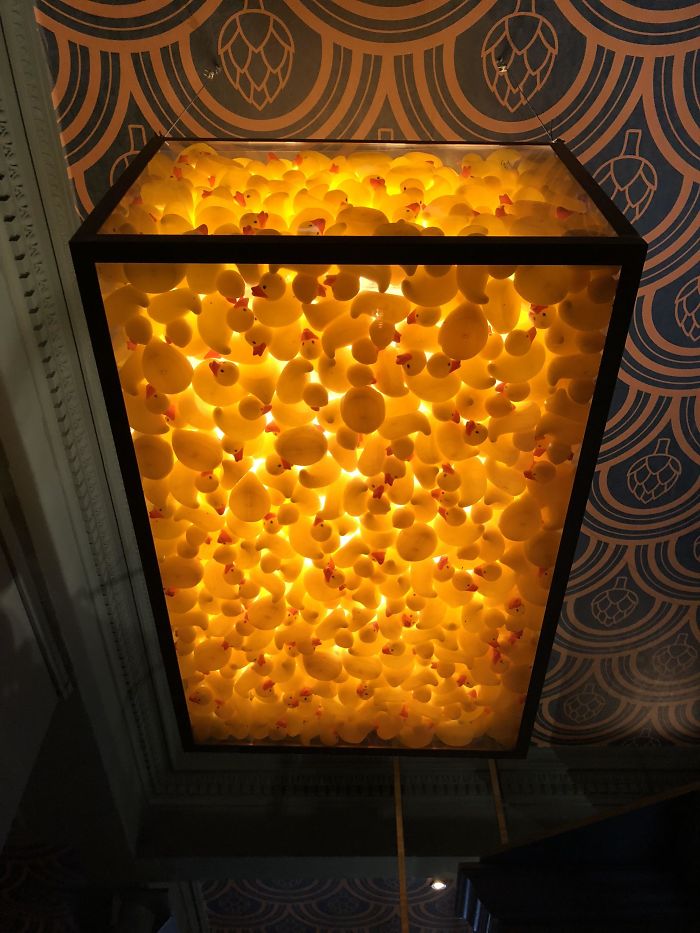 I Found This Ceiling Light Full Of Rubber Ducks In A Pub In Edinburgh