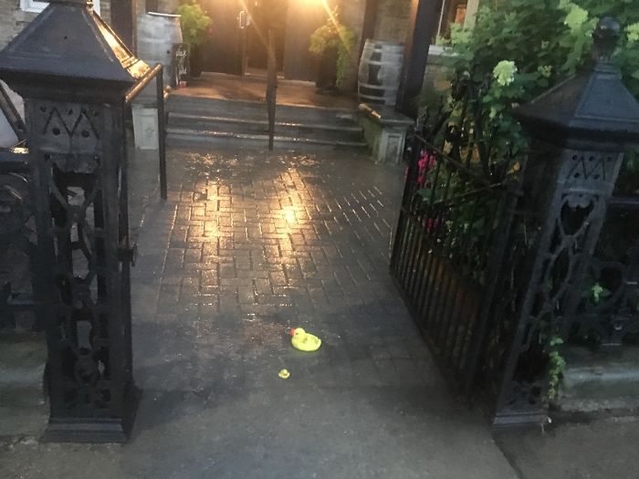 A Pub In My Town Places Rubber Ducks In Puddles To Warn Guests