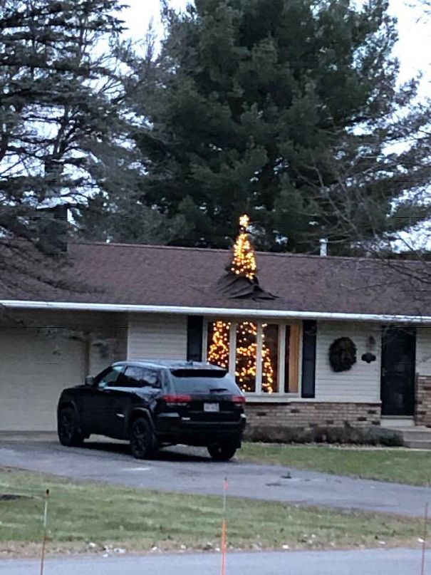 Really Tall Christmas Tree In Our Neighborhood