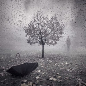 katelynwurtzberger avatar