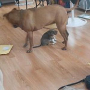 whitesageartjourney avatar