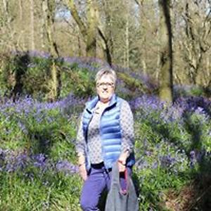 liz_charlesworth avatar