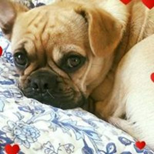 cindyannbarrett avatar