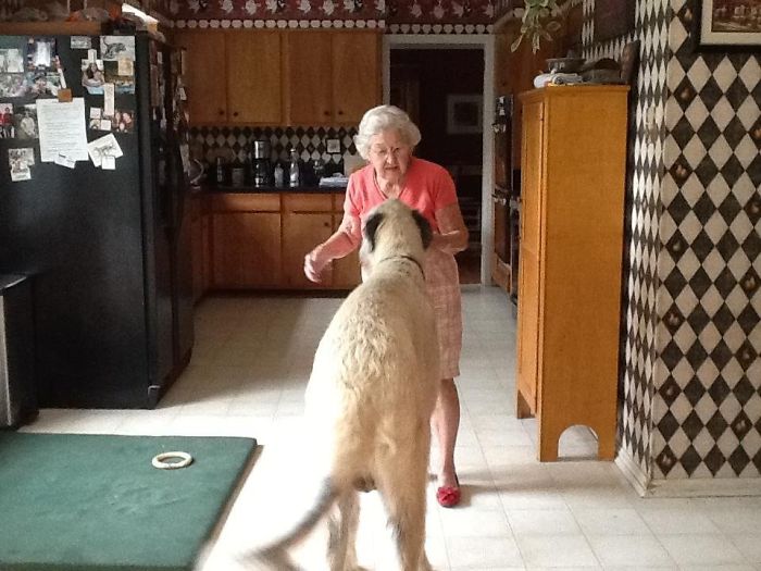 My Friend's 4'11" Mother And His 120lb Irish Wolfhound