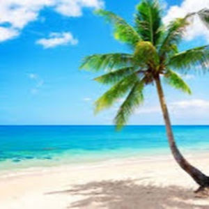 thomasbarrett avatar