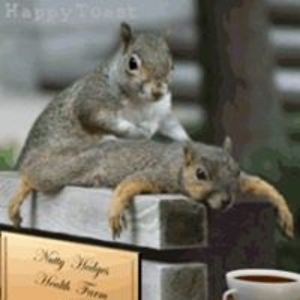 carol_beevers avatar