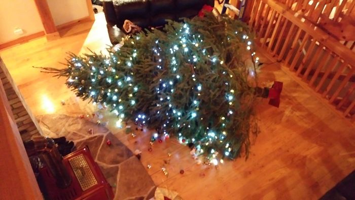 10 Foot Tall Christmas Tree Fell Over Today...