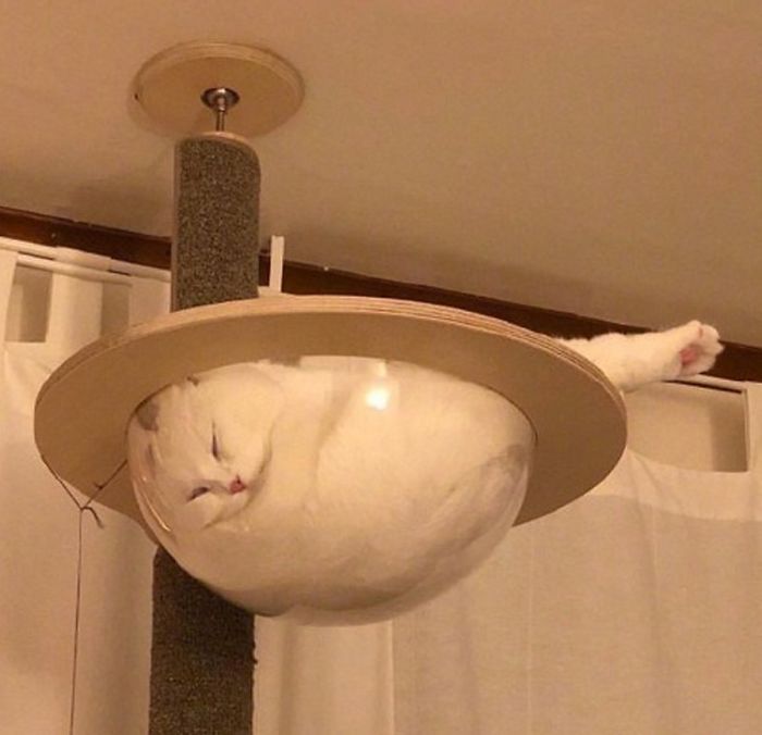 Another Proof That Cats Are Liquid