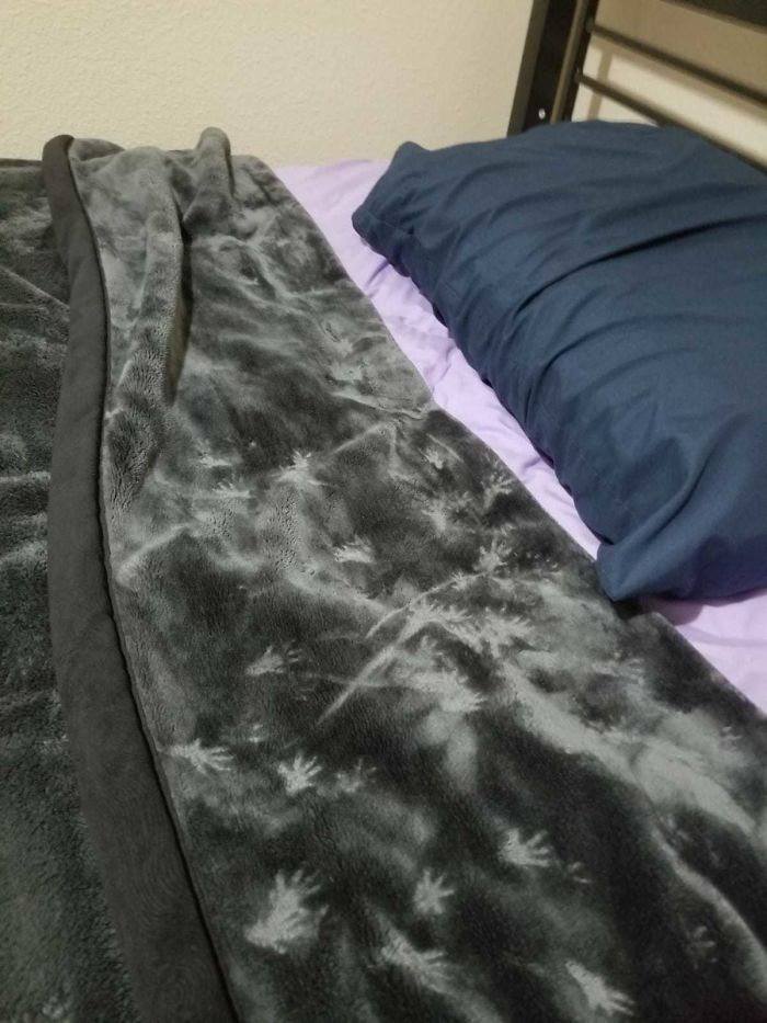 My Friend Went To His Room To Sleep Last Night And Found Rodent Prints
