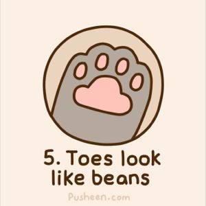 Toe beans