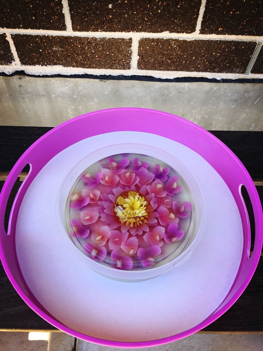 I Ventured Into 3 D Jelly Art After My Children Requested The Nicest Nut Free / Allergy Cake For Their Special Day.