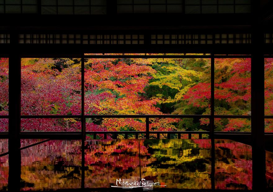 I Captured The Beautiful Fall In Kyoto