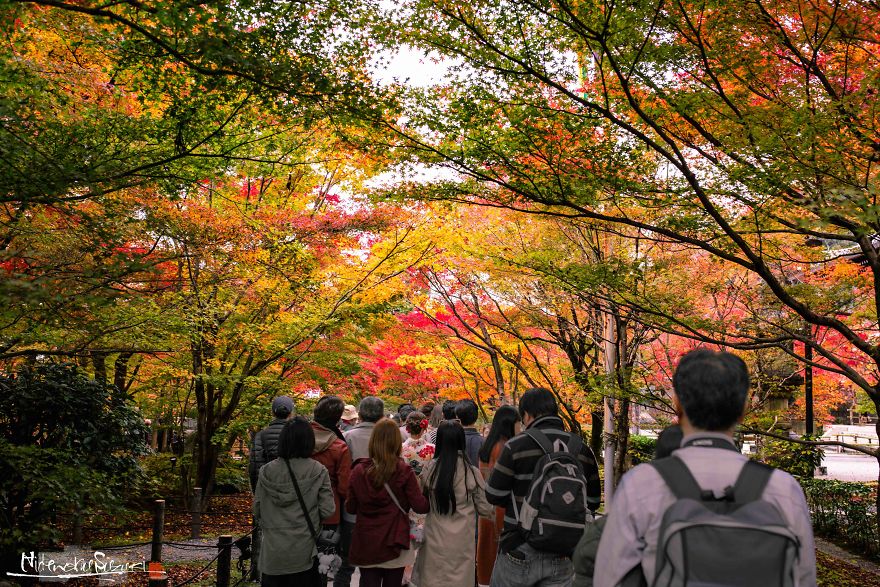 I Captured The Beautiful Fall In Kyoto