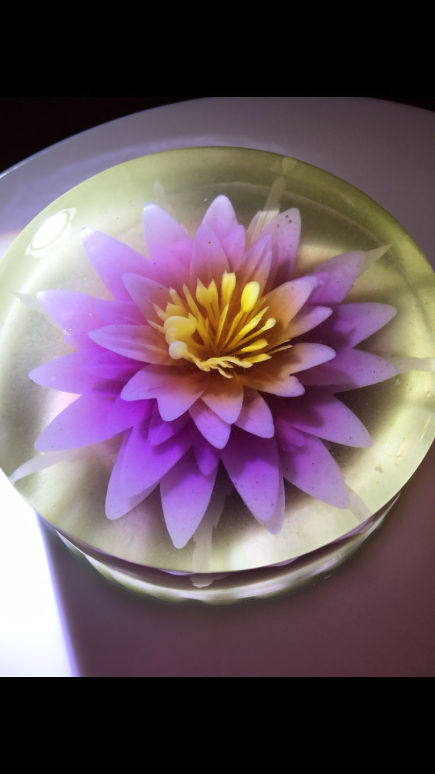 I Ventured Into 3 D Jelly Art After My Children Requested The Nicest Nut Free / Allergy Cake For Their Special Day.