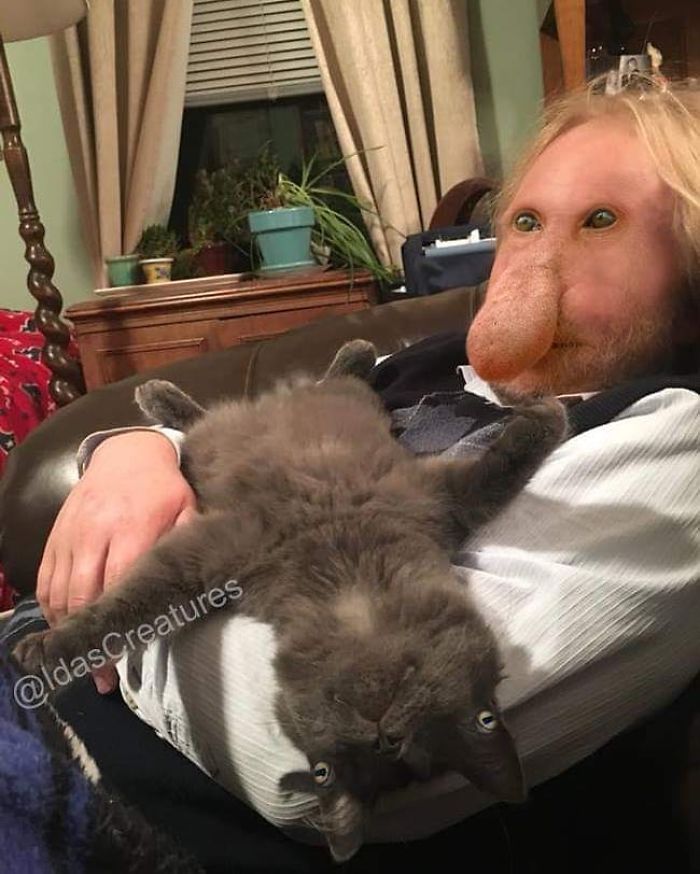 At The Request Of The Owners, Girl Turns Pets Into Monsters In Photoshop And The Result Will Give You Nightmares, Or, Make You Laugh