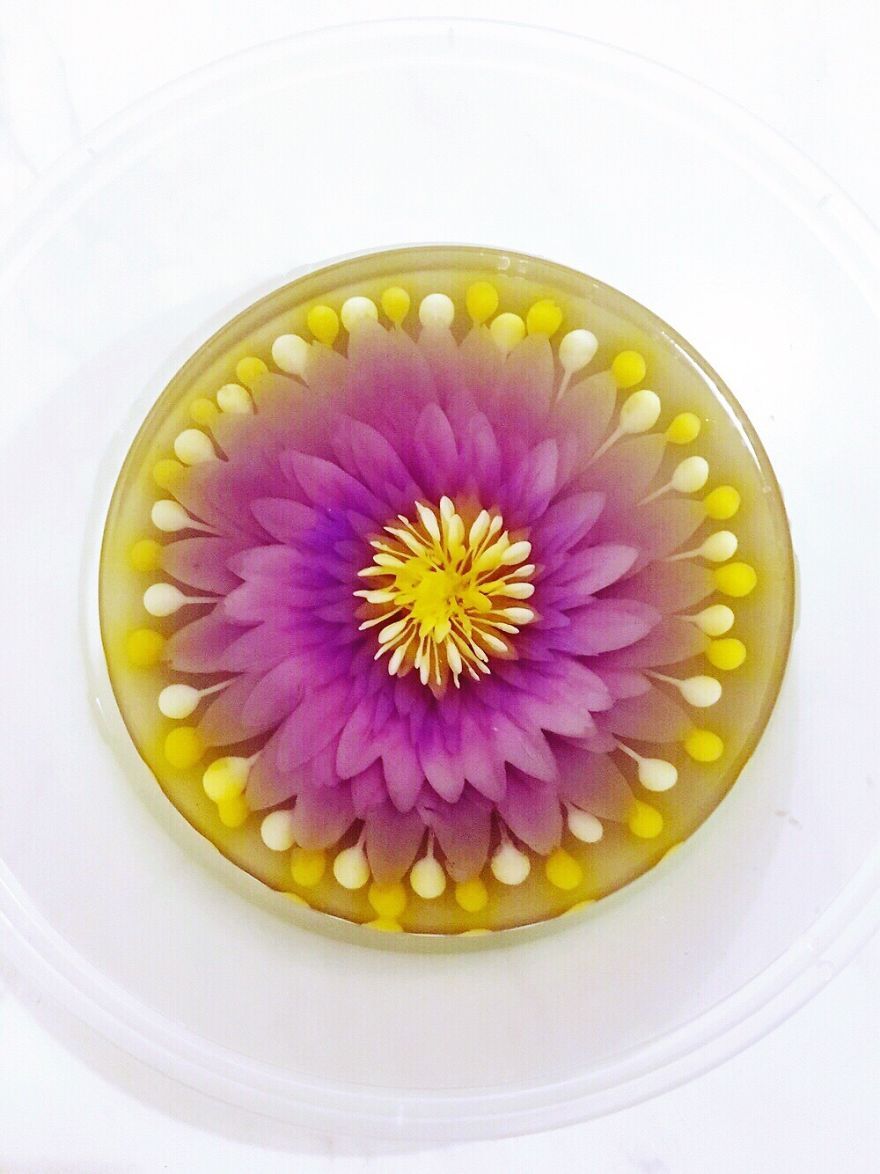 I Ventured Into 3 D Jelly Art After My Children Requested The Nicest Nut Free / Allergy Cake For Their Special Day.