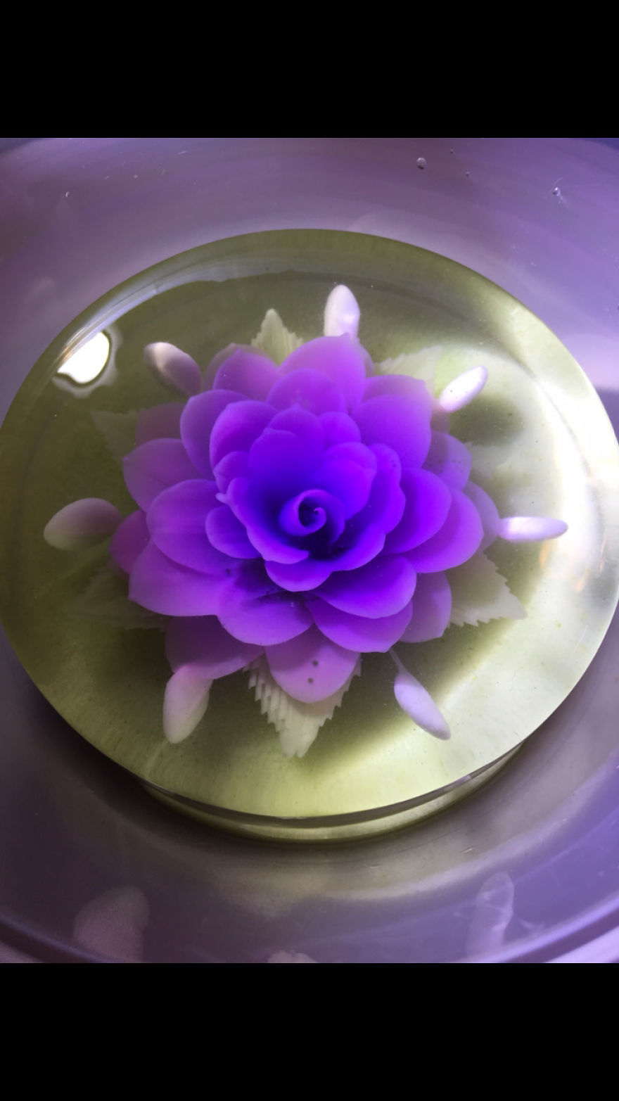 I Ventured Into 3 D Jelly Art After My Children Requested The Nicest Nut Free / Allergy Cake For Their Special Day.