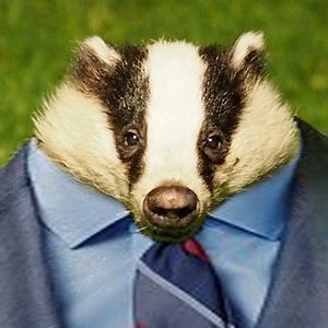 12 Badgers in a Suit