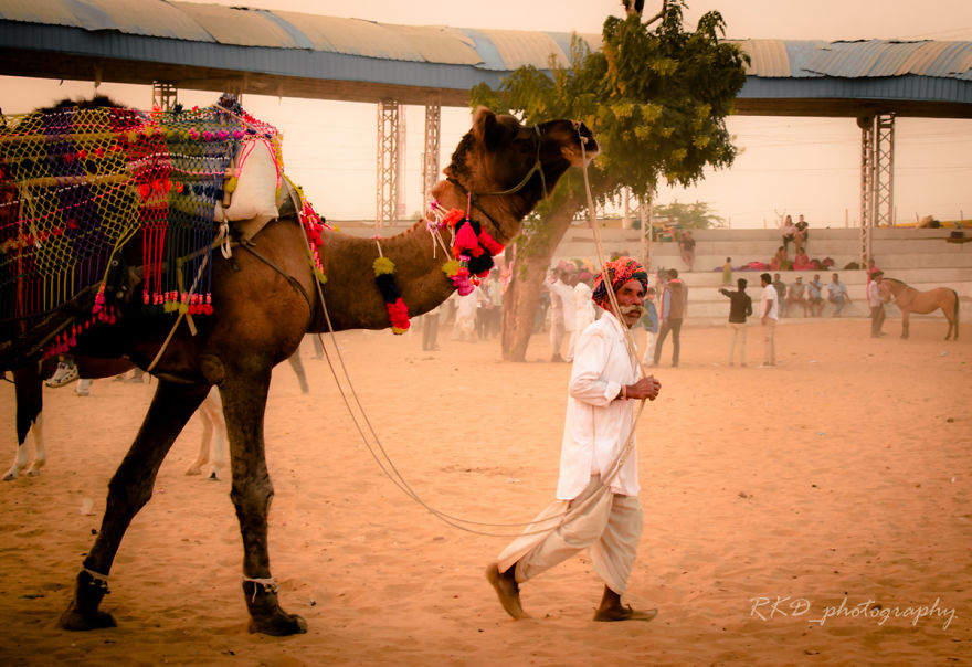 Strangers To Friends: Pushkar Mela Strangers To Friends: Pushkar Mela