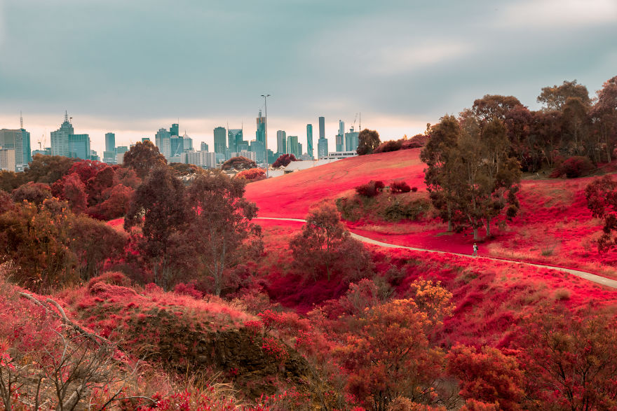 I Teach You How To Create Another World With Infrared Photography In Photoshop
