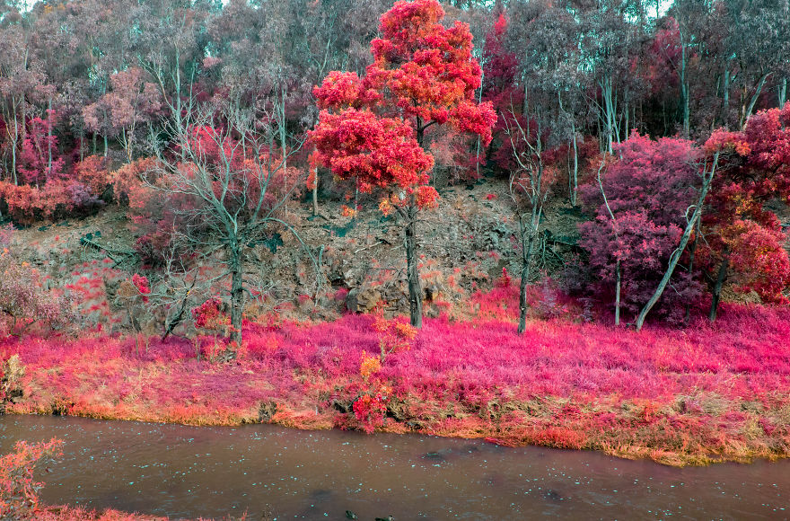 I Teach You How To Create Another World With Infrared Photography In Photoshop