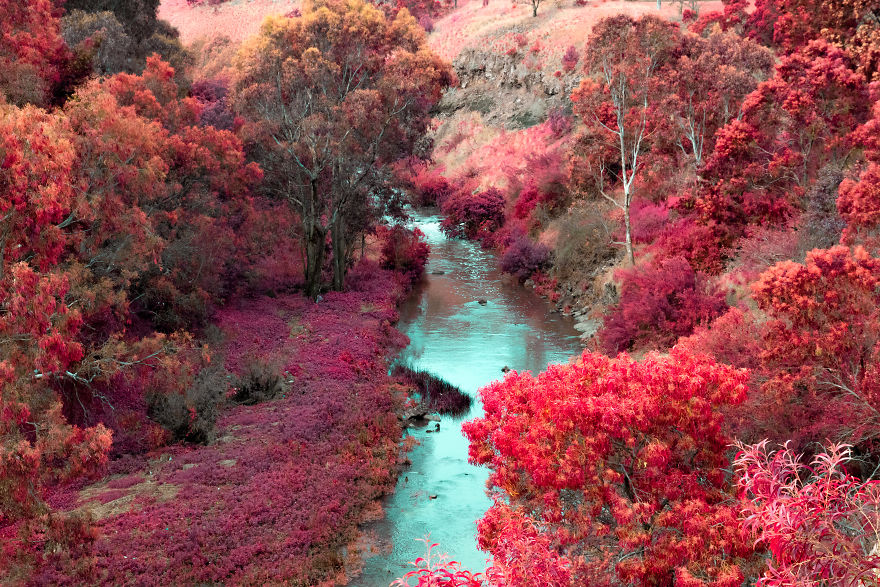 I Teach You How To Create Another World With Infrared Photography In Photoshop