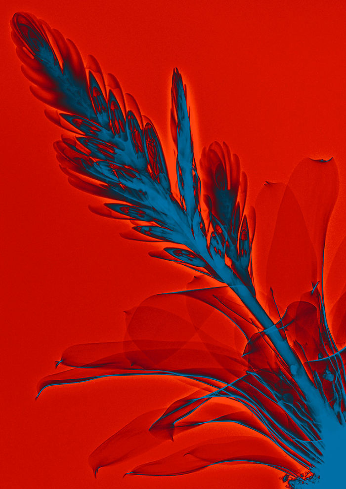 I Create Colourful Art By Using X-Rays!