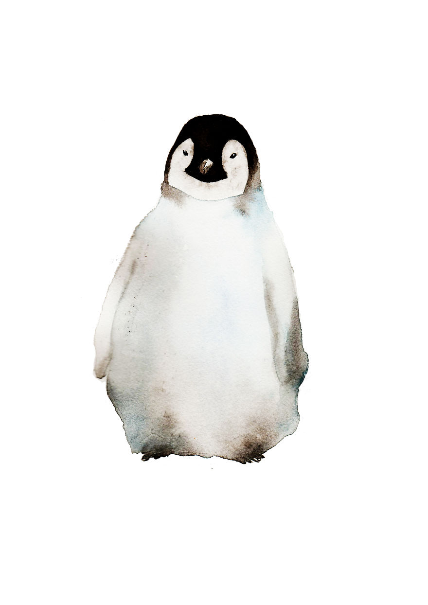 Grumpy Little Penguin