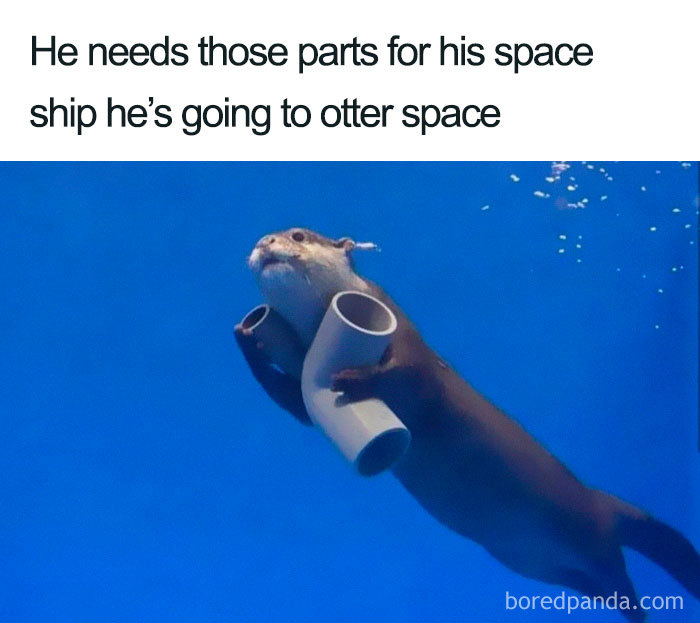 50 Space Memes That Anybody Will Laugh At | Bored Panda