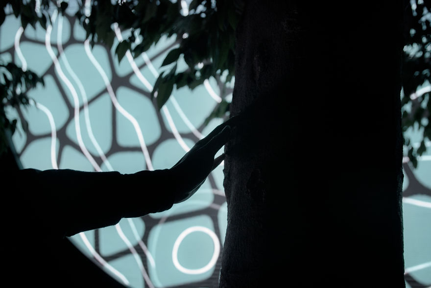 We Made A Tree Talk About How It Feels About Climate Change Using Its Own Real Time Data