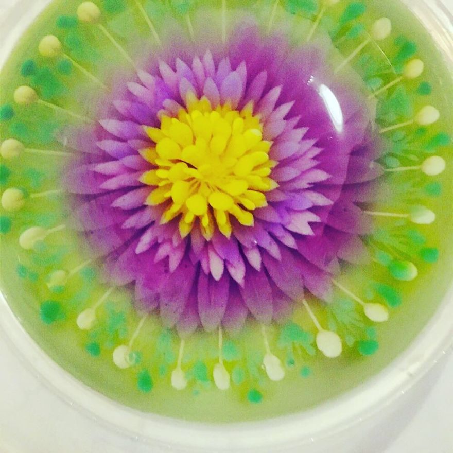 I Ventured Into 3 D Jelly Art After My Children Requested The Nicest Nut Free / Allergy Cake For Their Special Day.