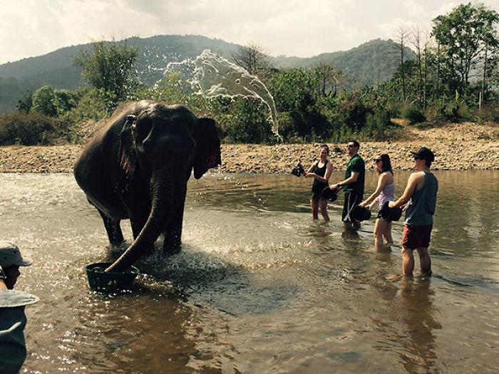 El agua que le va a caer al elefante también parece un elefante