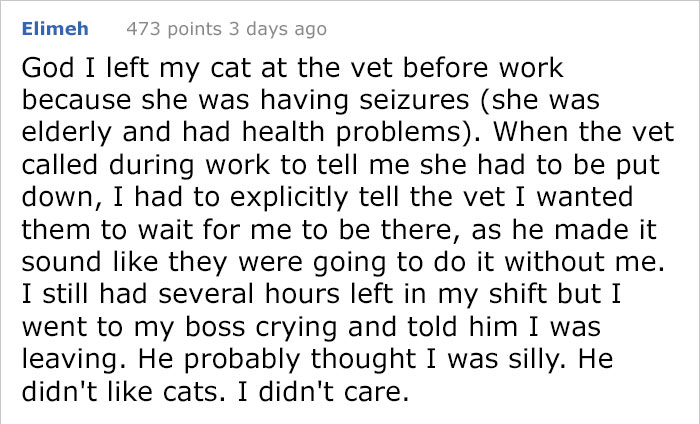 After This Man's Cat Was Put Down At The Vet, He Received A Heartwarming Gift Including Ashes, Fur And A Paw With Seeds
