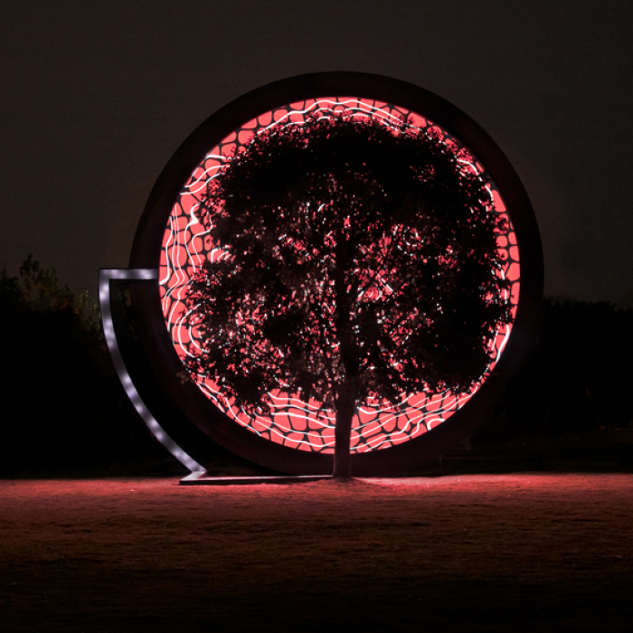 We Made A Tree Talk About How It Feels About Climate Change Using Its Own Real Time Data