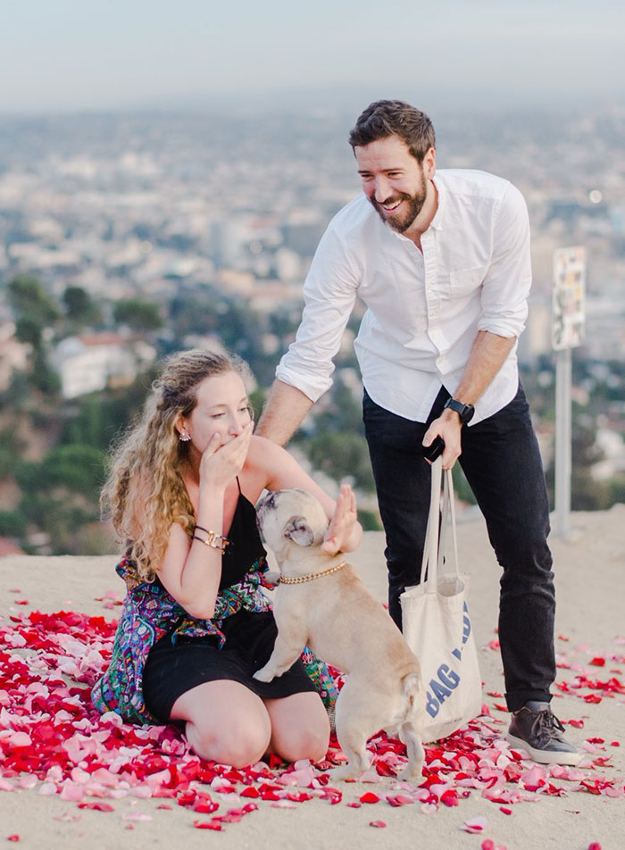 This Girl’s Reaction To Her Boyfriend Proposing With 16 Dogs Is Priceless