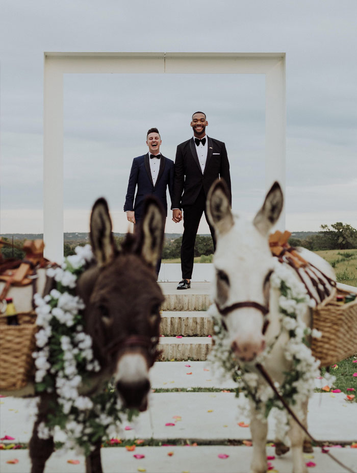 Our Wedding's Beer Burros Wanted To Be A Part Of The Picture