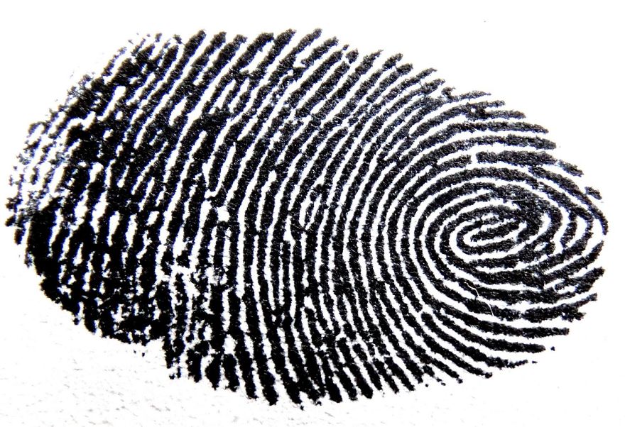Interesting Facts About Fingerprints