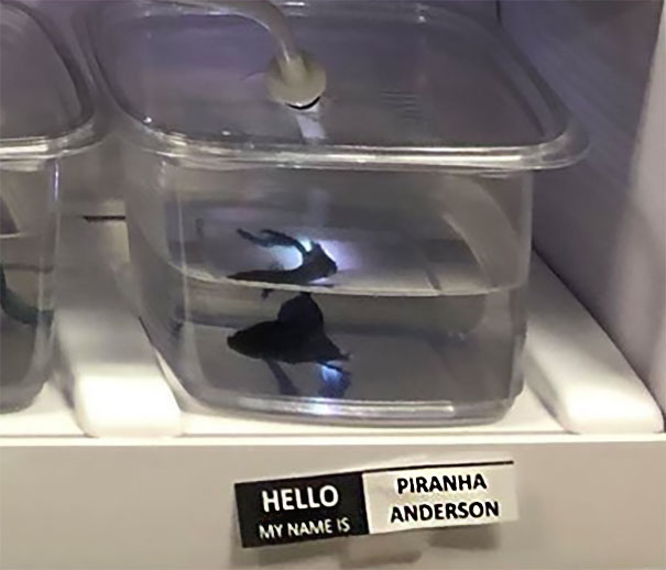 Piranha Anderson
