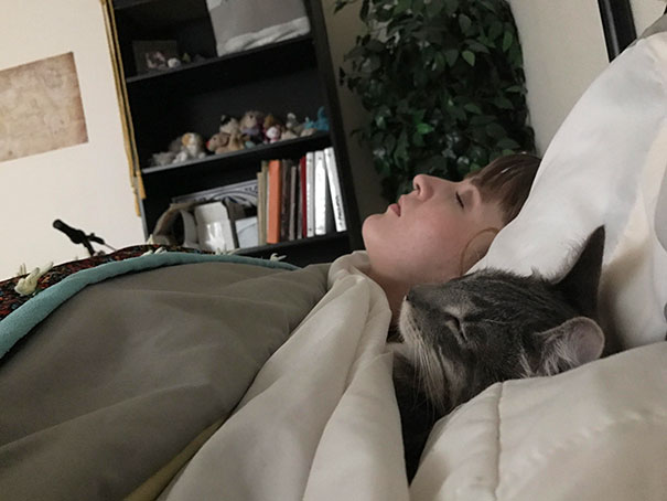 My Wife And My Cat