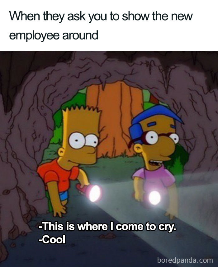 Meme about showing a place to a new coworker with Bart and Milhouse 