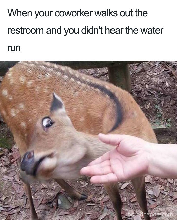 Person trying to pet a deer 