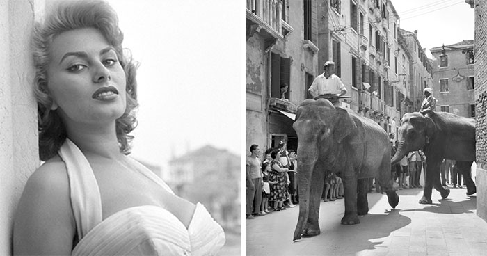 26 Rare Photos Of Celebrities Hanging Out In Venice In The 50s And 60s