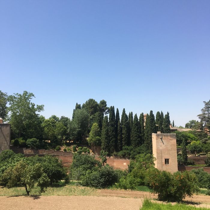 I Took Photos Of The Flora And Landscapes During My Trip To Spain