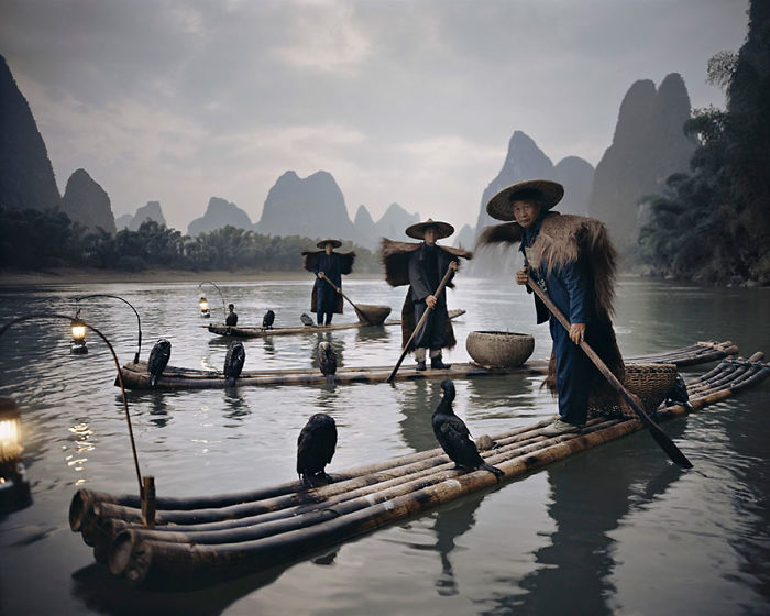 Cormoranes de Yang Shuo, China