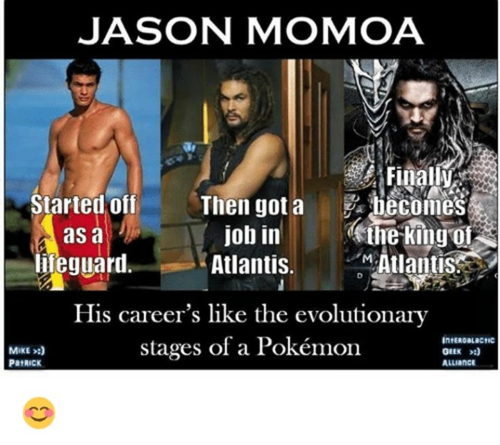 32 Of The Funniest Jason Momoa Memes - Page 4 of 4 - Success Life Lounge