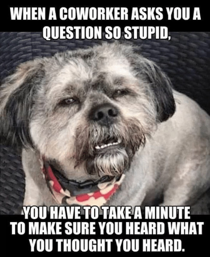 49 Of The Funniest Coworker Memes Ever Bored Panda