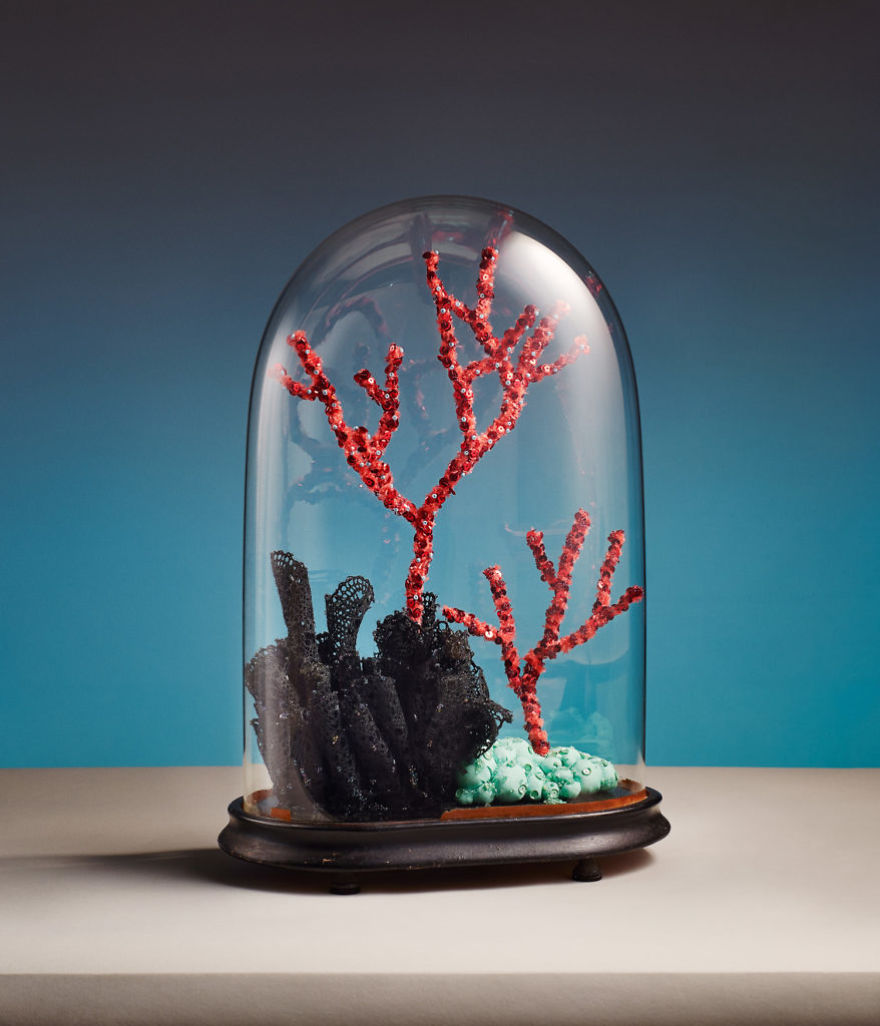 +10 Exquisite Handcrafted, Encased Coral Artworks By French Artist That Are Impossible To Resist.