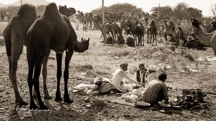 Strangers To Friends: Pushkar Mela Strangers To Friends: Pushkar Mela