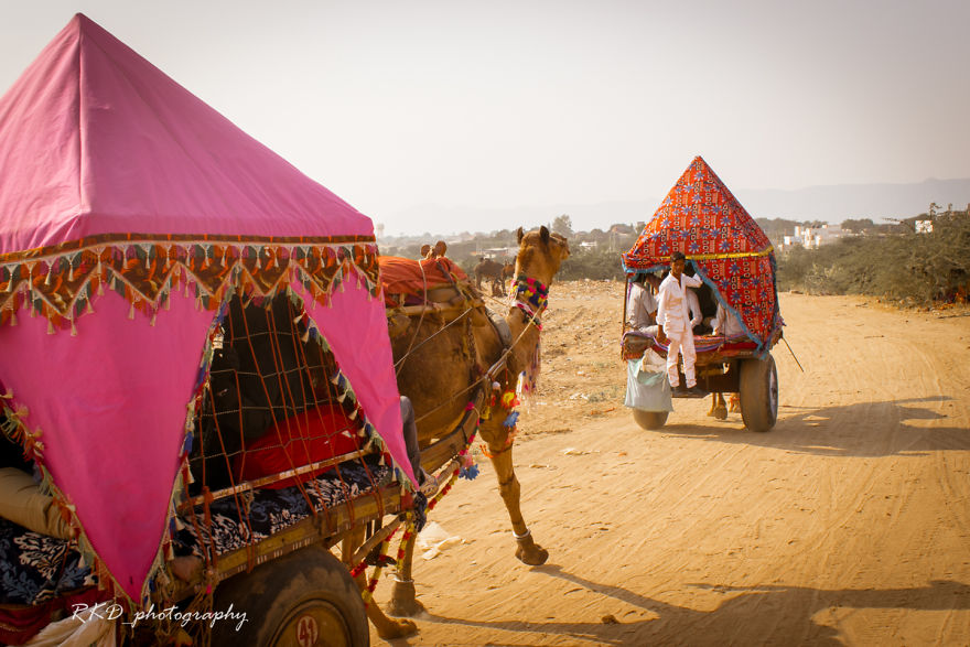 Strangers To Friends: Pushkar Mela Strangers To Friends: Pushkar Mela